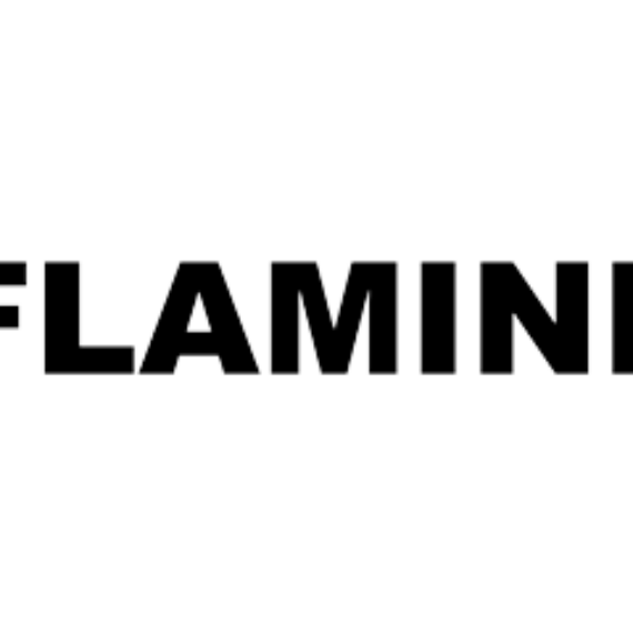 flaminia logo