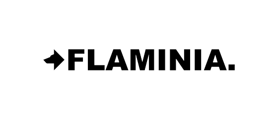 flaminia logo